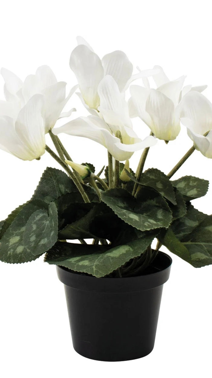 Faux cyclamen in pot