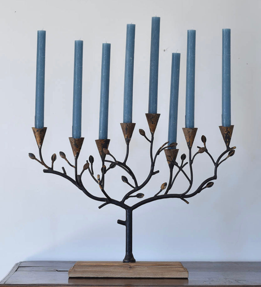 Candelabra tree