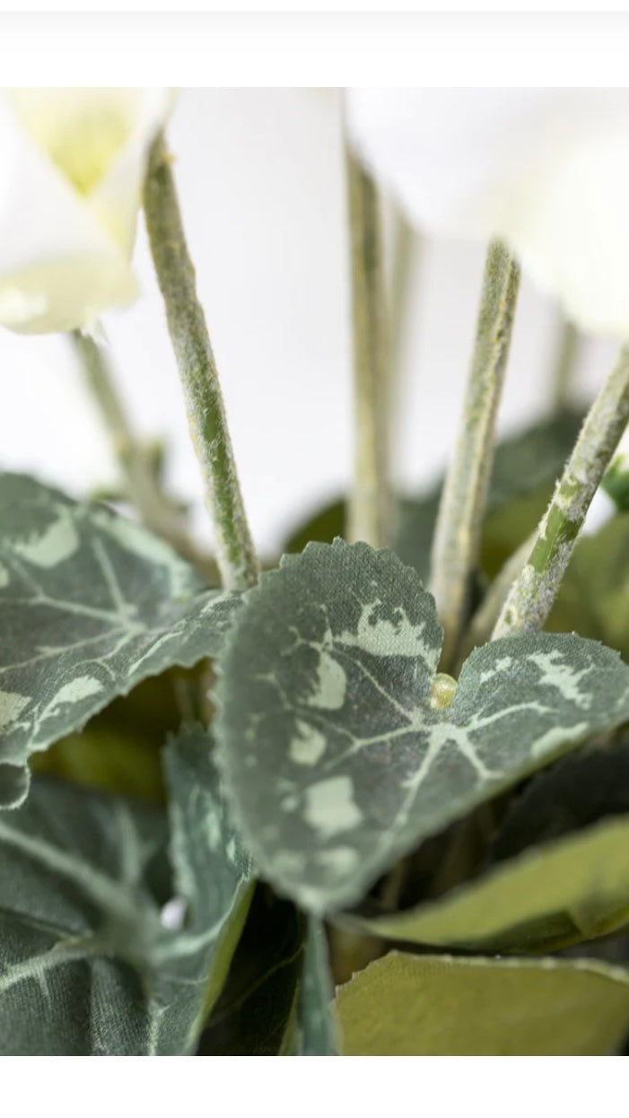 Faux cyclamen in pot