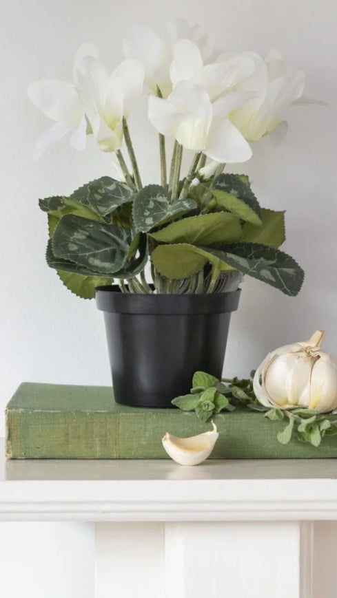 Faux cyclamen in pot